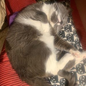 🎄💕🎄💕SALESALESALE 30% off 2!!😻Happy holidays!